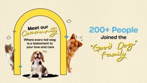 Good Dog Social Media